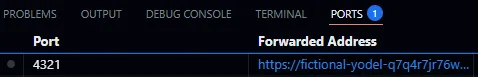 A screenshot of the initial codespace website