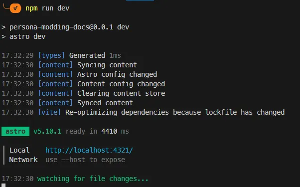 A screenshot of the npm run dev command being run